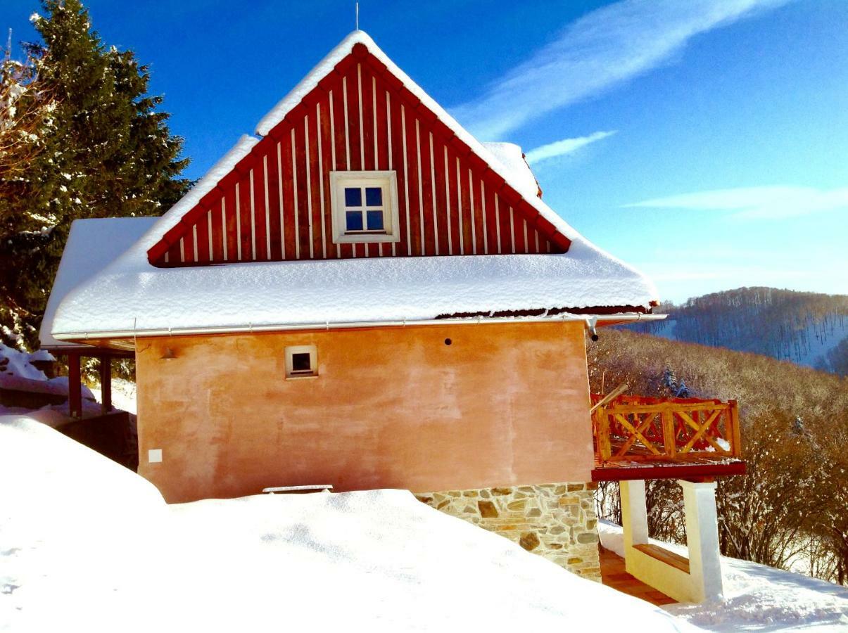 Kopanicky Dvor Guest House Hodrusa Bagian luar foto
