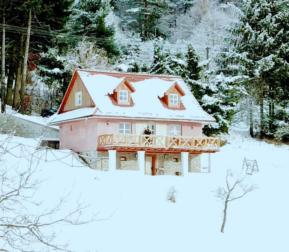 Kopanicky Dvor Guest House Hodrusa Bagian luar foto