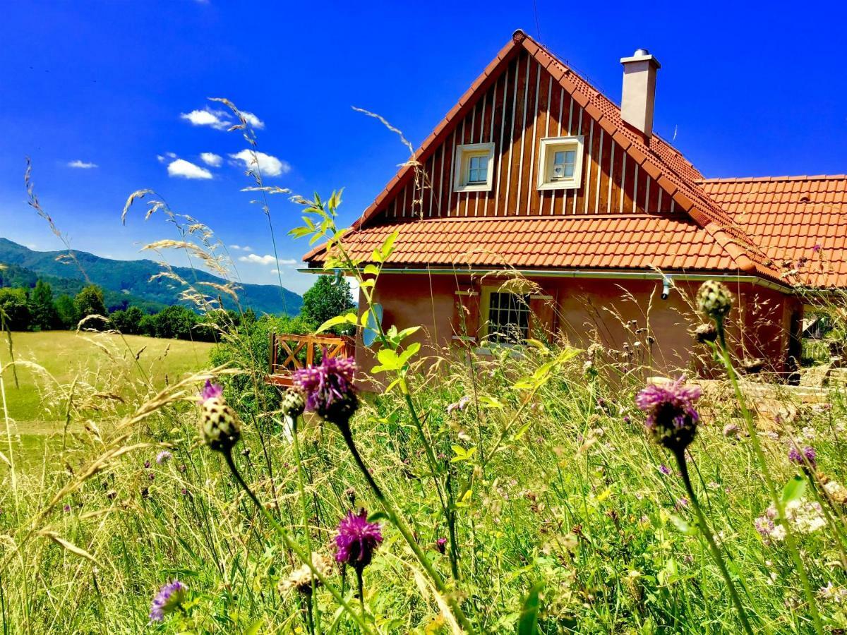 Kopanicky Dvor Guest House Hodrusa Bagian luar foto