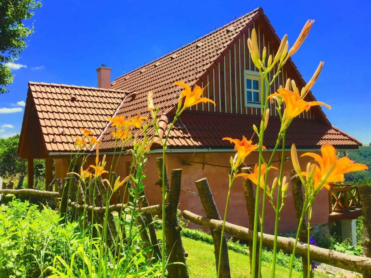 Kopanicky Dvor Guest House Hodrusa Bagian luar foto