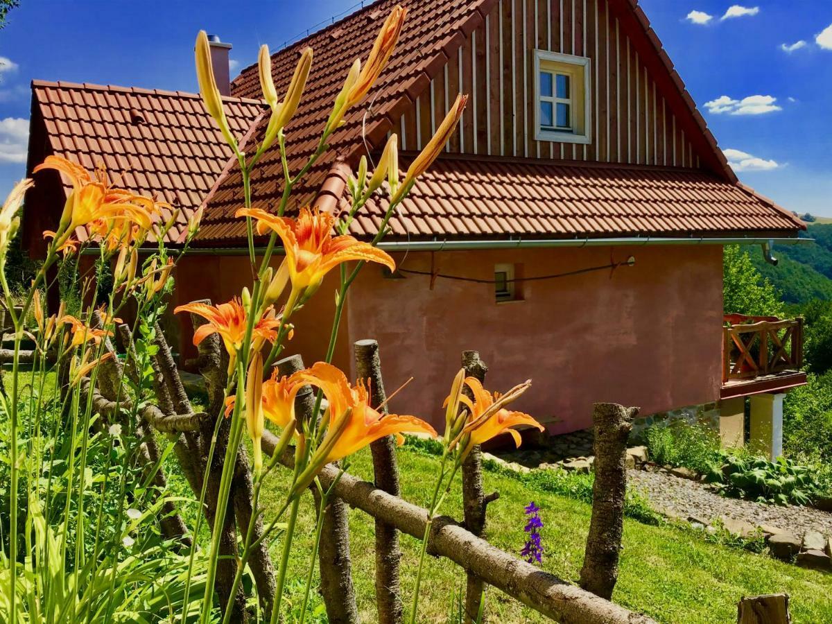 Kopanicky Dvor Guest House Hodrusa Bagian luar foto